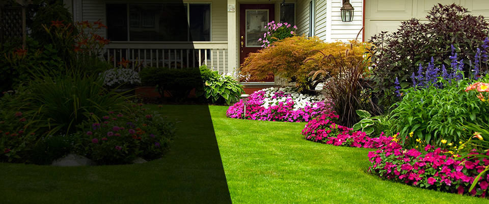 Clearwater Beach Landscapers