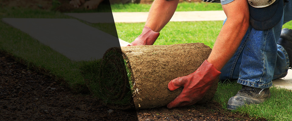 Clearwater Beach Landscapers